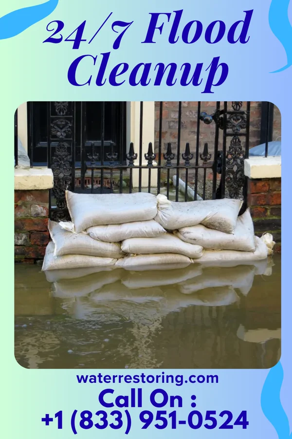 24/7 Flood Cleanup in Pine Level, NC