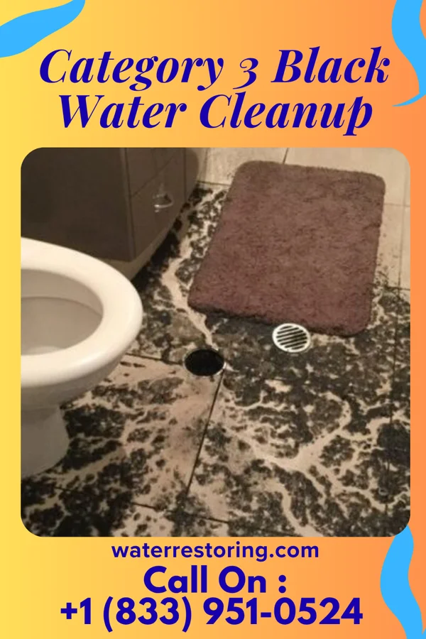 Category 3 Black Water Cleanup in Pine Level, NC