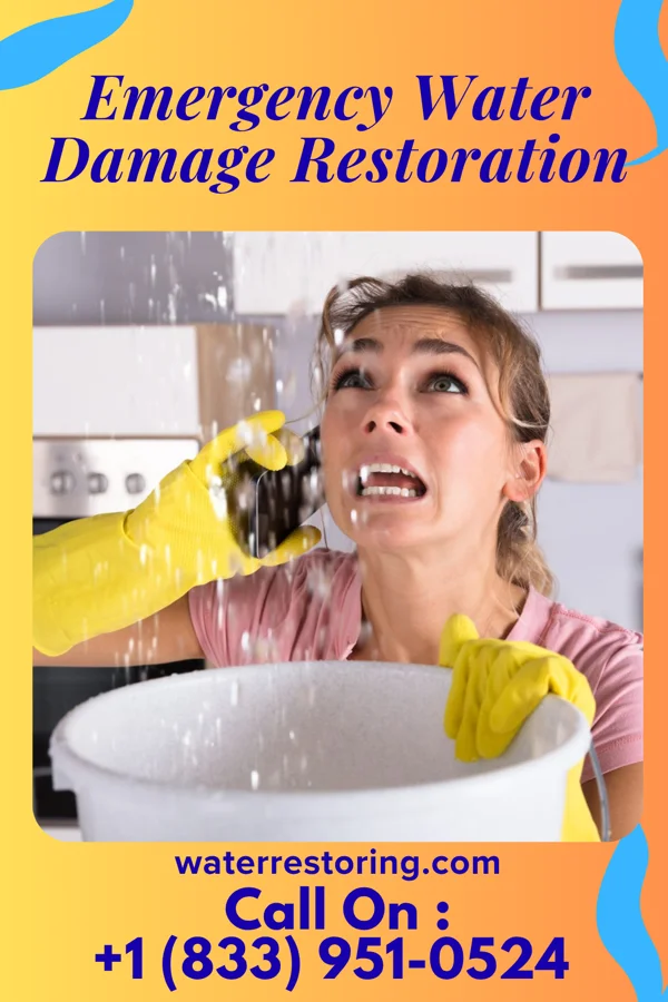 Emergency Water Damage Restoration in Pine Level, NC