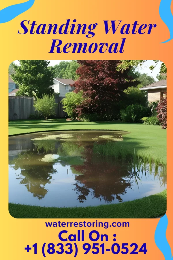 Standing Water Removal in Pine Level, NC